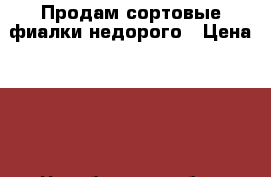 Продам сортовые фиалки недорого › Цена ­ 50 - Челябинская обл., Копейск г.  »    